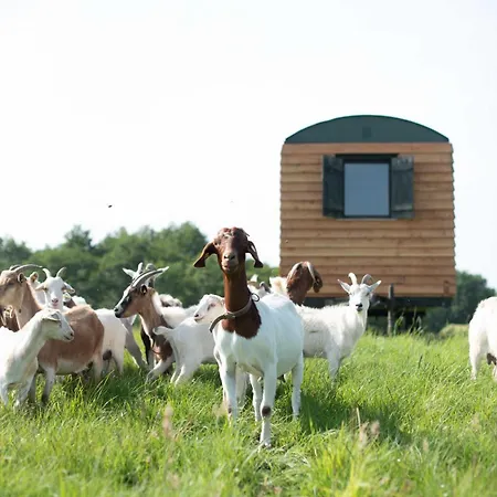 Farm Im Gruenen Feriepark Wardow