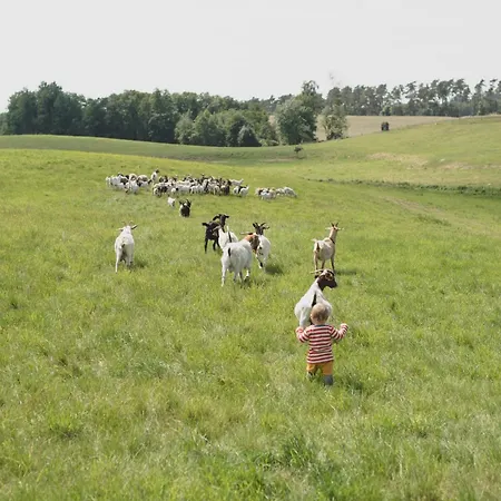 Farm Im Gruenen